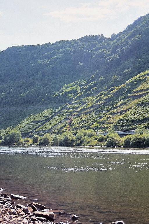 Gasthof Dören